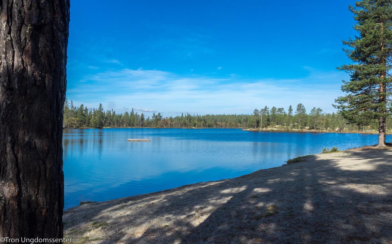 Tron Ungdomssenter Lodge Tynset